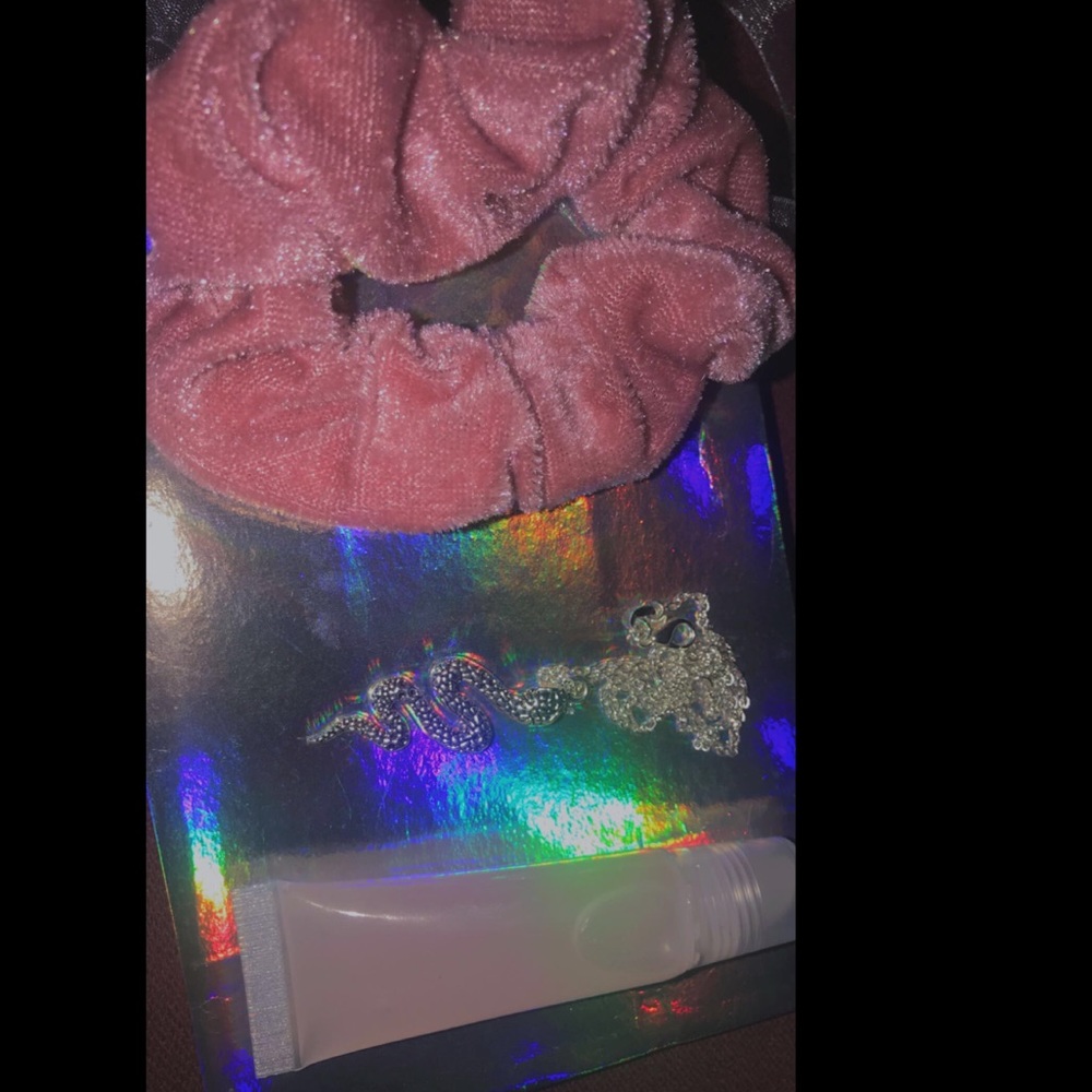 lip gloss and snake necklace bundle